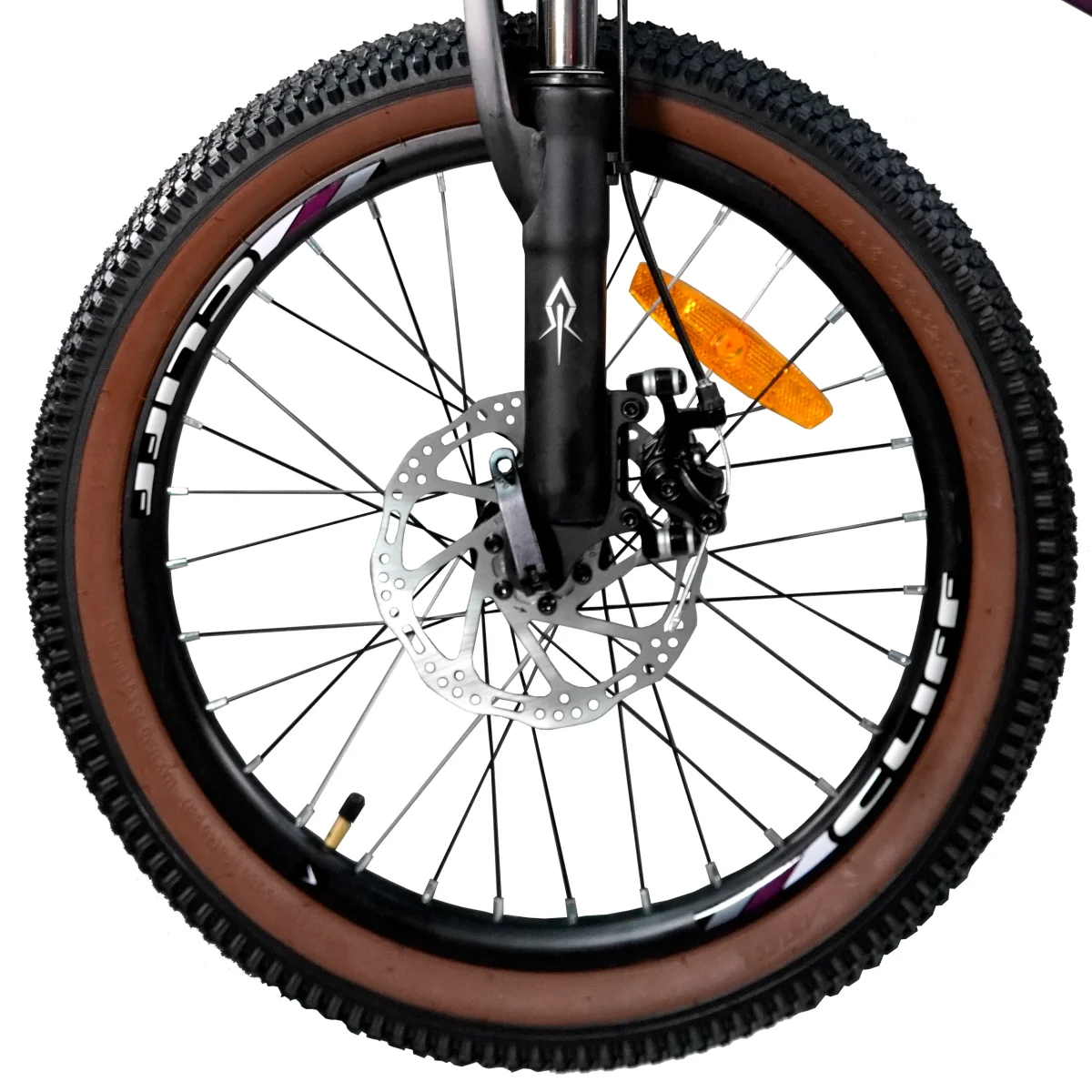 BICICLETA LIZARD 20 2025 - Imagen 5